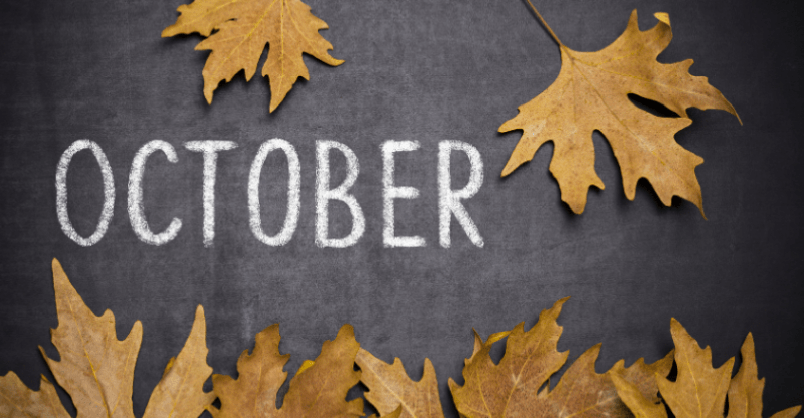 56 Of The Best October Quotes - AnQuotes.com