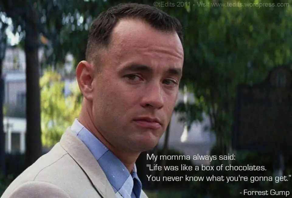 30 Memorable Forrest Gump Quotes   A Famous Forrest Gump Quote 960x653 